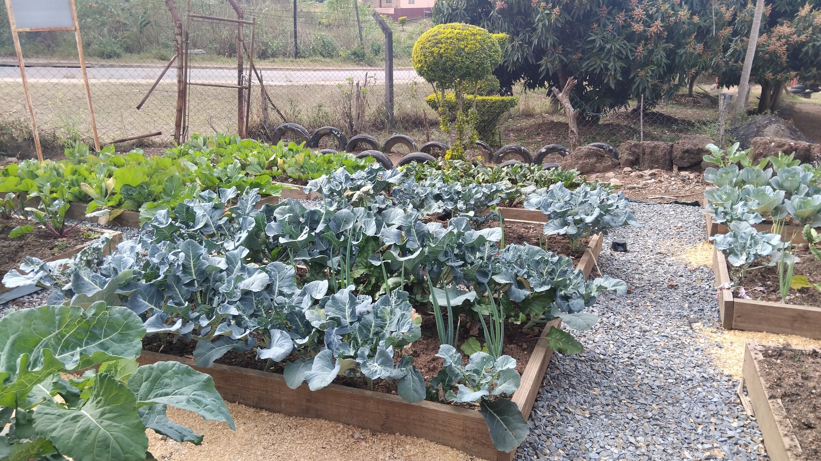 Children and community members enjoying fresh organic meals