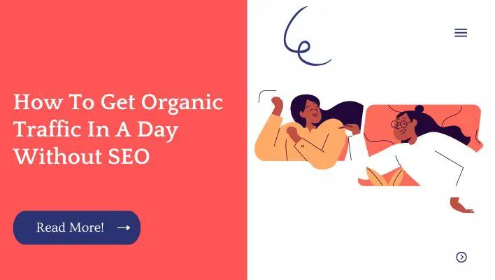 How To Get Organic Traffic In A Day Without SEO