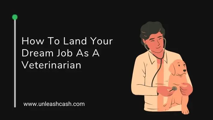 How To Land Your Dream Job As A Veterinarian
