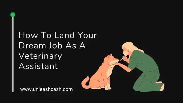 How To Land Your Dream Job As A Veterinary Assistant